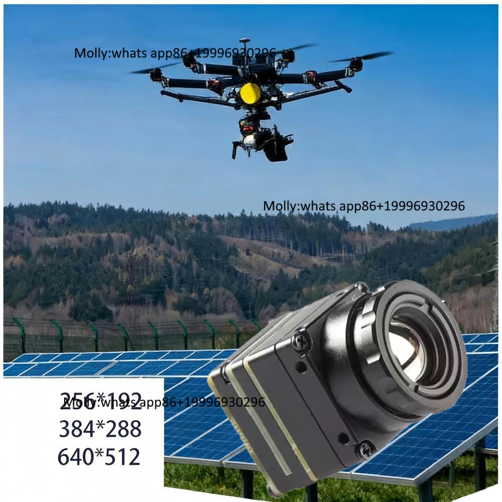 Thermal Camera Type C 384X288 - Mini FPV Thermische Cameramodule met CVBS/Type-C,
